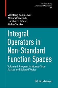 Produktbild: Integral Operators in Non-Standard Function Spaces