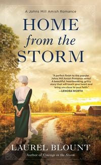 Produktbild: Home from the Storm
