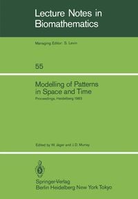 Produktbild: Modelling of Patterns in Space and Time