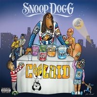 Bild vom Artikel Coolaid vom Autor Snoop Dogg