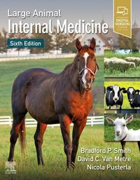 Produktbild: Large Animal Internal Medicine