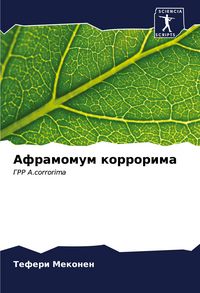 Produktbild: Aframomum korrorima