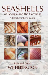 Produktbild: Seashells of Georgia and the Carolinas
