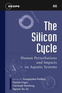 Produktbild: The Silicon Cycle