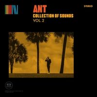 Produktbild: COLLECTION OF SOUNDS VOL.2 (Yellow Vinyl)