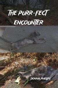 Produktbild: The PURR-fect Encounter