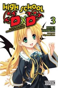 Produktbild: High School DXD, Vol. 3 (Light Novel)