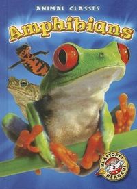 Produktbild: Amphibians