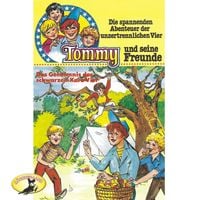 Produktbild: Das Geheimnis der schwarzen Karo Vier
