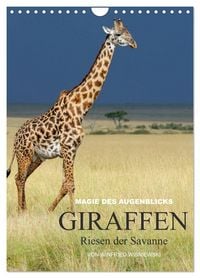 Produktbild: Magie des Augenblicks - Giraffen - Riesen der Savanne (Wandkalender 2026 DIN A4 hoch), CALVENDO Monatskalender