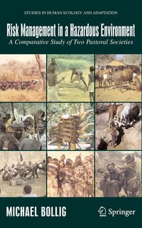 Produktbild: Risk Management in a Hazardous Environment