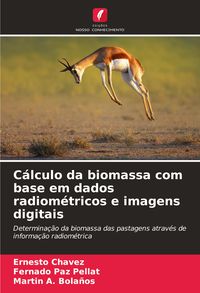 Produktbild: C&aacute;lculo da biomassa com base em dados radiom&eacute;tricos e imagens digitais