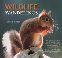 Produktbild: Bailey, D: Wildlife Wanderings