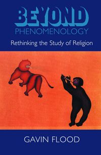 Produktbild: Beyond Phenomenology