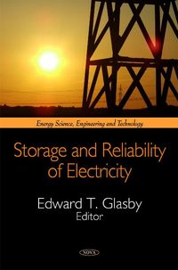 Produktbild: Storage & Reliability of Electricity