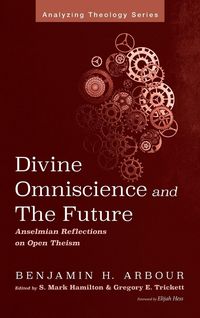 Produktbild: Divine Omniscience and the Future