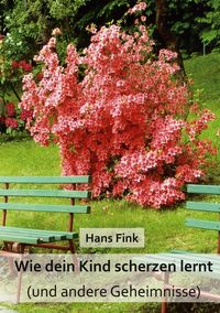 Produktbild: Wie dein Kind scherzen lernt