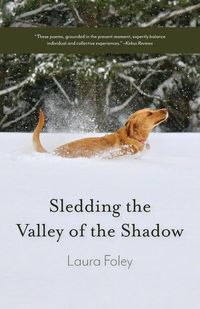 Produktbild: Sledding the Valley of the Shadow