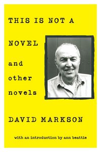 Produktbild: This Is Not a Novel and Other Novels
