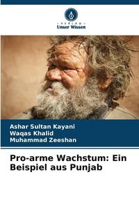 Produktbild: Pro-arme Wachstum: Ein Beispiel aus Punjab