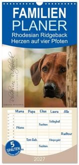 Produktbild: Familienplaner 2027 - Rhodesian Ridgeback - Herzen auf vier Pfoten mit 5 Spalten (Wandkalender, 21 x 45 cm) CALVENDO
