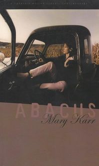 Produktbild: Abacus
