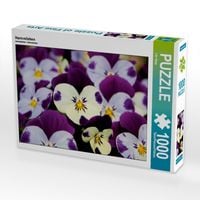 Produktbild: CALVENDO Puzzle Hornveilchen | 1000 Teile Lege-Gr&ouml;&szlig;e 64x48cm Foto-Puzzle f&uuml;r gl&uuml;ckliche Stunden