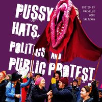 Produktbild: Pussy Hats, Politics, and Public Protest