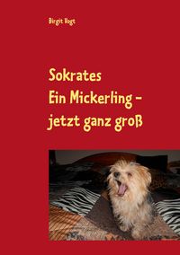 Produktbild: Sokrates Ein Mickerling - jetzt ganz gro&szlig;