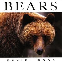 Produktbild: Bears