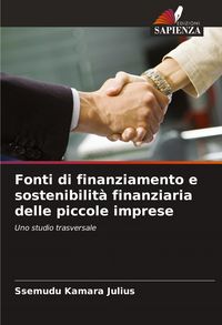 Produktbild: Fonti di finanziamento e sostenibilit&agrave; finanziaria delle piccole imprese