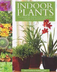 Produktbild: Indoor Plants