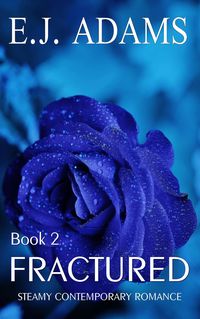 Produktbild: Fractured Book 2