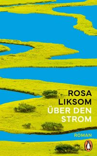 Produktbild: &Uuml;ber den Strom