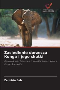 Produktbild: Zasiedlenie dorzecza Konga i jego skutki