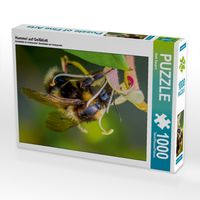 Produktbild: CALVENDO Puzzle Hummel auf Gei&szlig;blatt | 1000 Teile Lege-Gr&ouml;&szlig;e 64x48cm Foto-Puzzle f&uuml;r gl&uuml;ckliche Stunden
