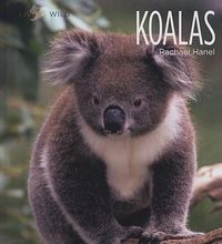 Produktbild: Koalas
