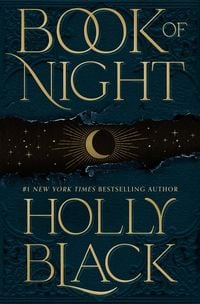 Bild vom Artikel Book of Night vom Autor Holly Black