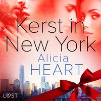 Produktbild: Kerst in New York - erotische verhaal