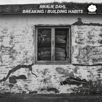 Produktbild: Breaking/Building Habits (live)