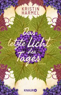 Produktbild: Das letzte Licht des Tages