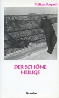 Produktbild: Der sch&ouml;ne Heilige