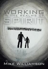 Produktbild: Working in the Realms of Spirit