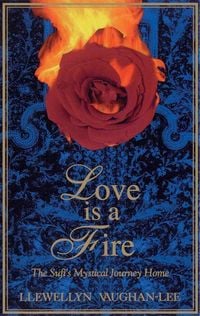 Produktbild: Love Is a Fire