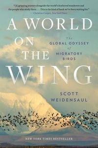 Produktbild: A World on the Wing