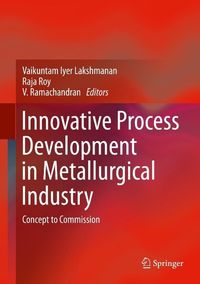 Produktbild: Innovative Process Development in Metallurgical Industry