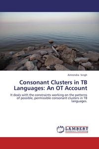 Produktbild: Consonant Clusters in TB Languages: An OT Account
