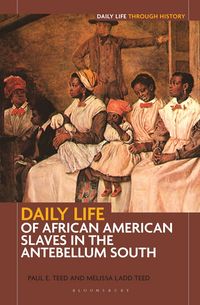 Produktbild: Daily Life of African American Slaves in the Antebellum South