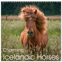 Produktbild: Charming Icelandic Horses (Wall Calendar 2027 12 &times; 12 Inch) CALVENDO 12 Month Wall Calendar