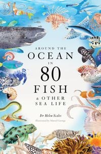 Produktbild: Around the Ocean in 80 Fish and other Sea Life